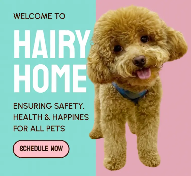 Hairy Home Maluri Pet Shop Banner