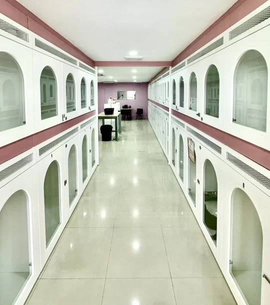 pet hotel