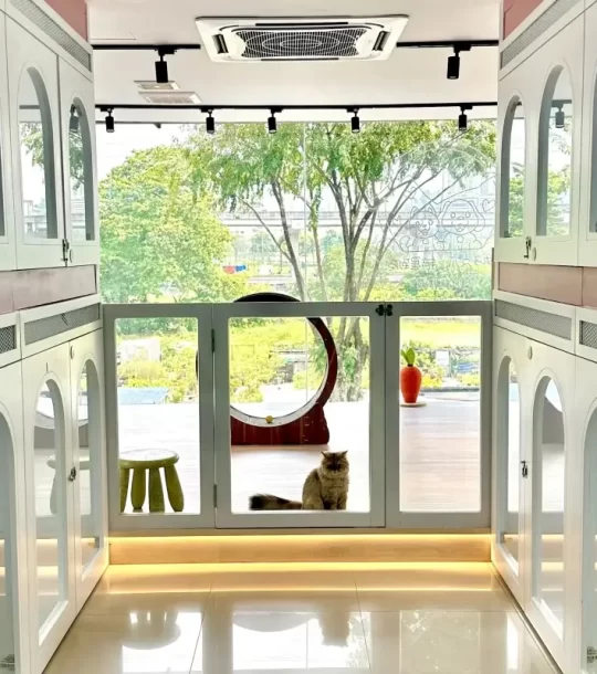 pet hotel