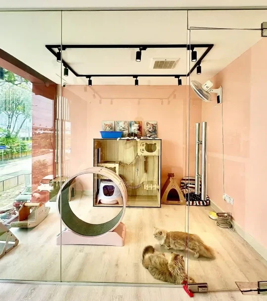pet hotel