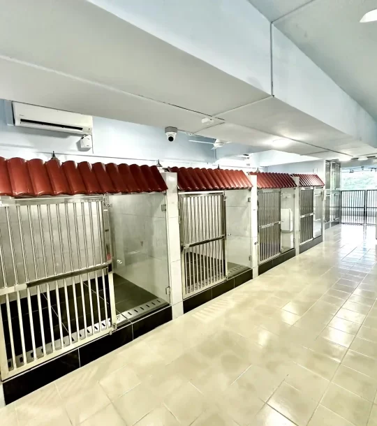 pet hotel