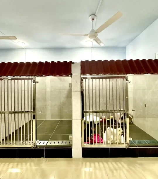 pet hotel